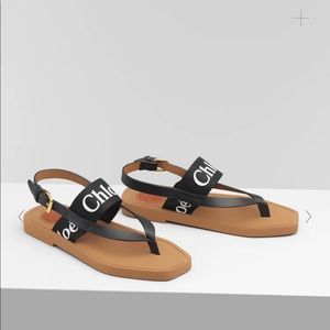 Brand new never worn Chloe sandals.